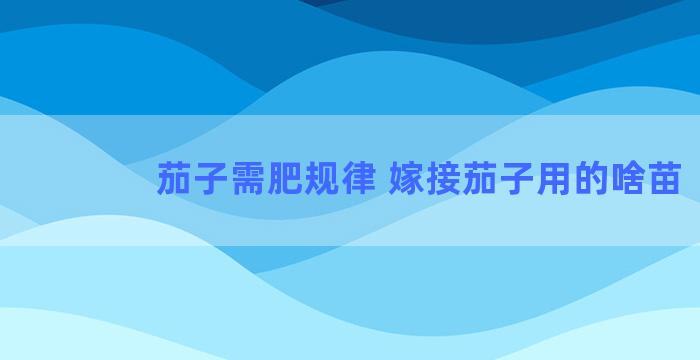 茄子需肥规律 嫁接茄子用的啥苗